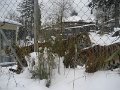 13.02.2012 Walterzoo 025